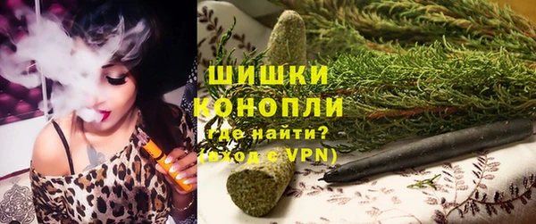 spice Белокуриха