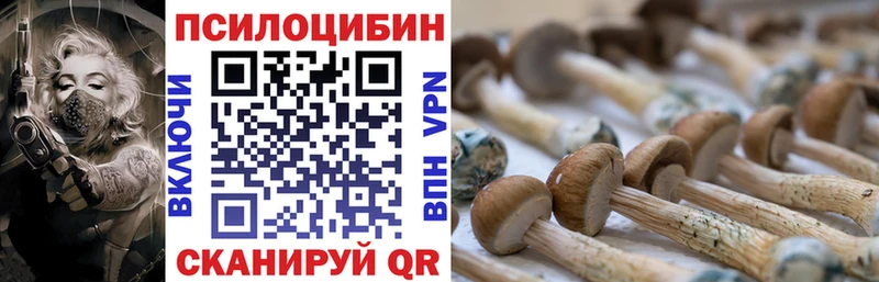 Псилоцибиновые грибы Magic Shrooms где купить наркотик Светлогорск